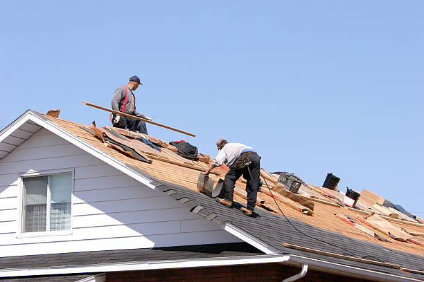 Fast & Reliable Emergency Roof Repairs in Kingston, IL